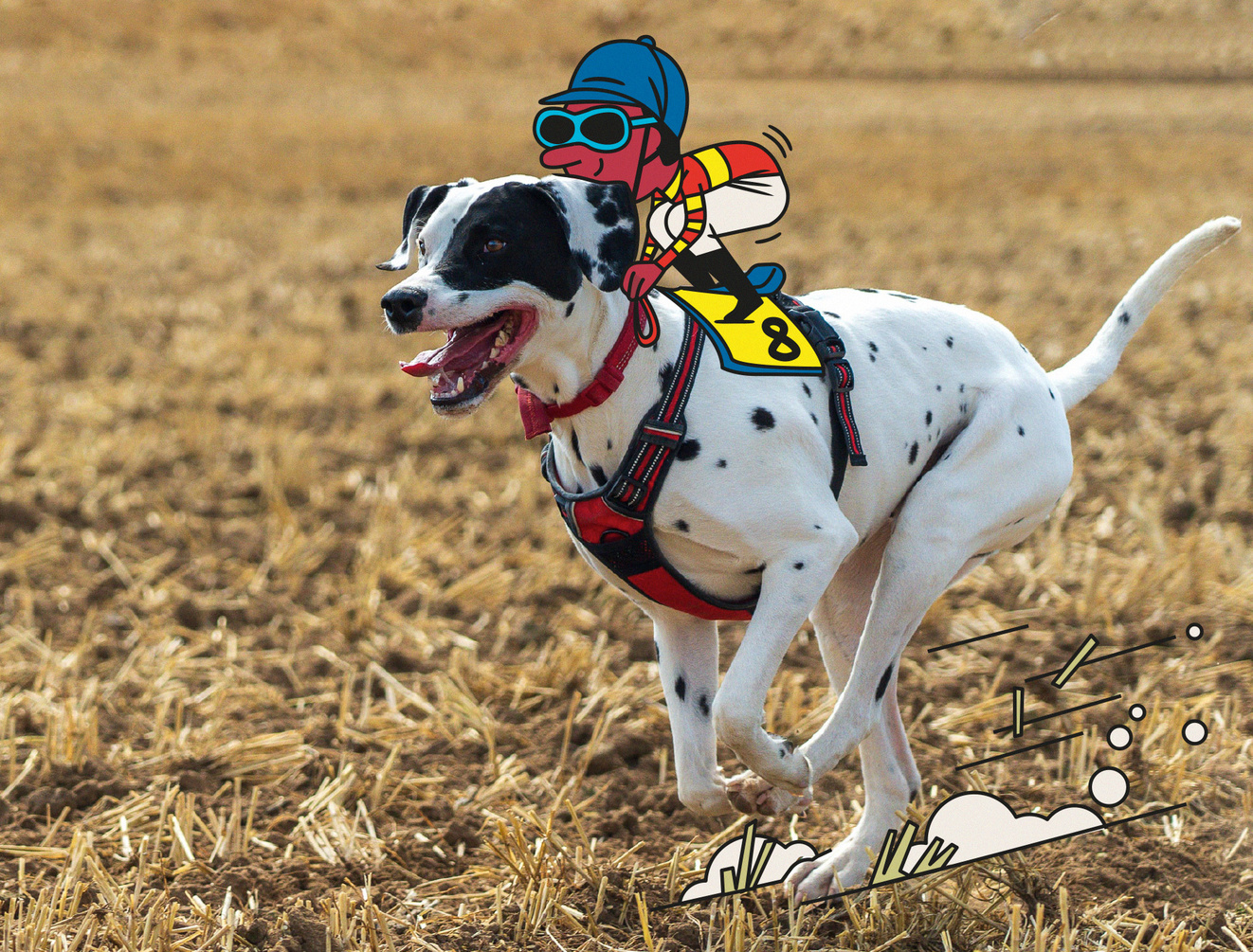Dog racing